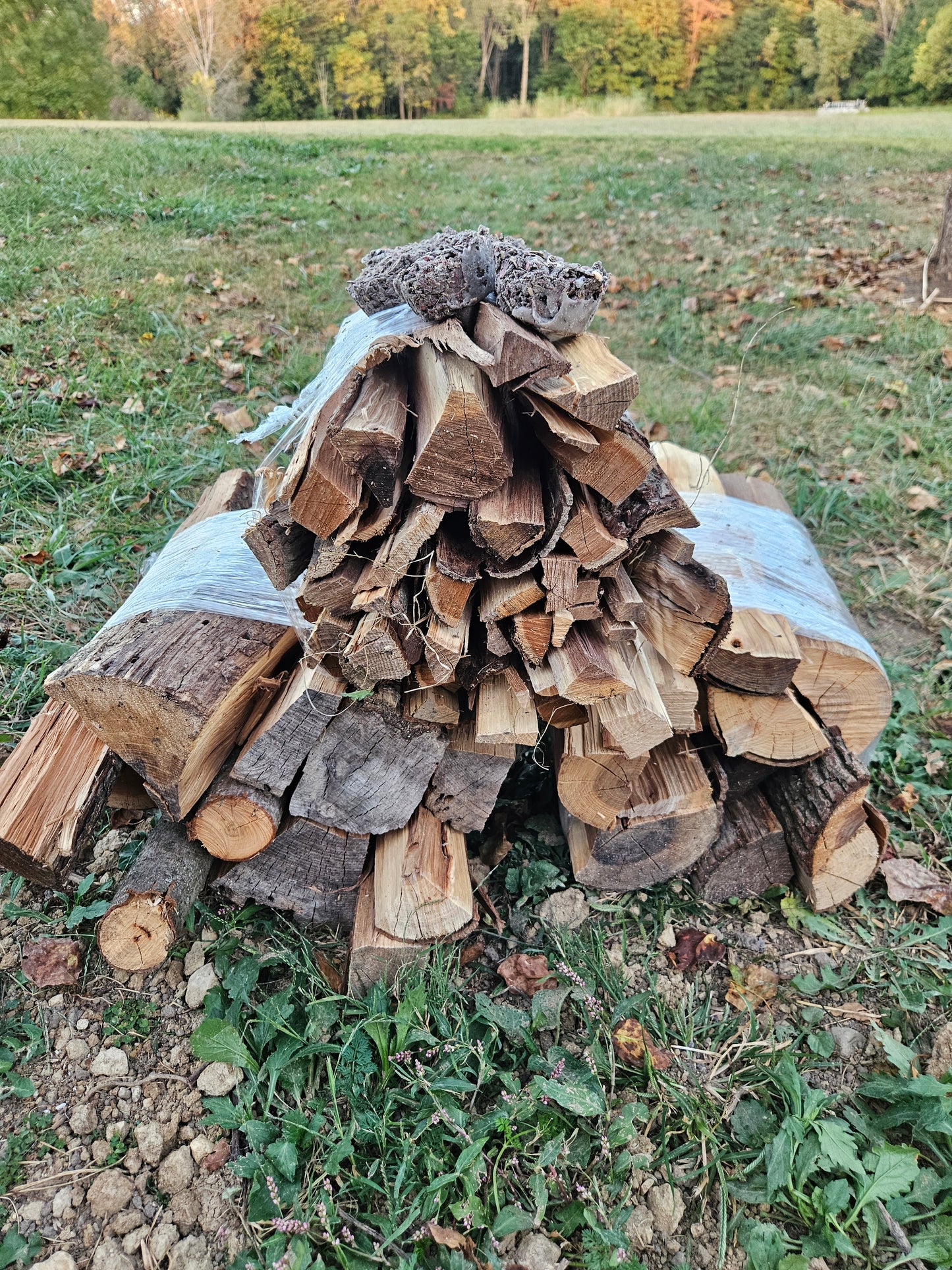 PRO FIRE Bundle
