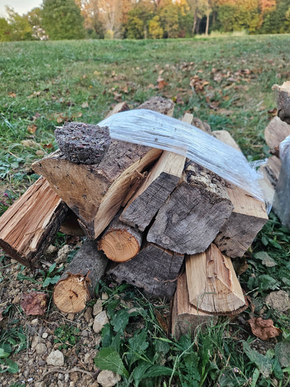 Basic Fire Bundles