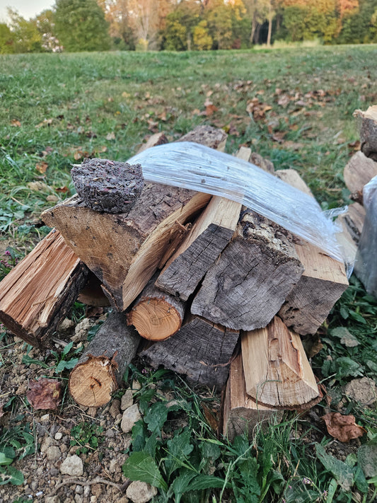Basic Fire Bundles